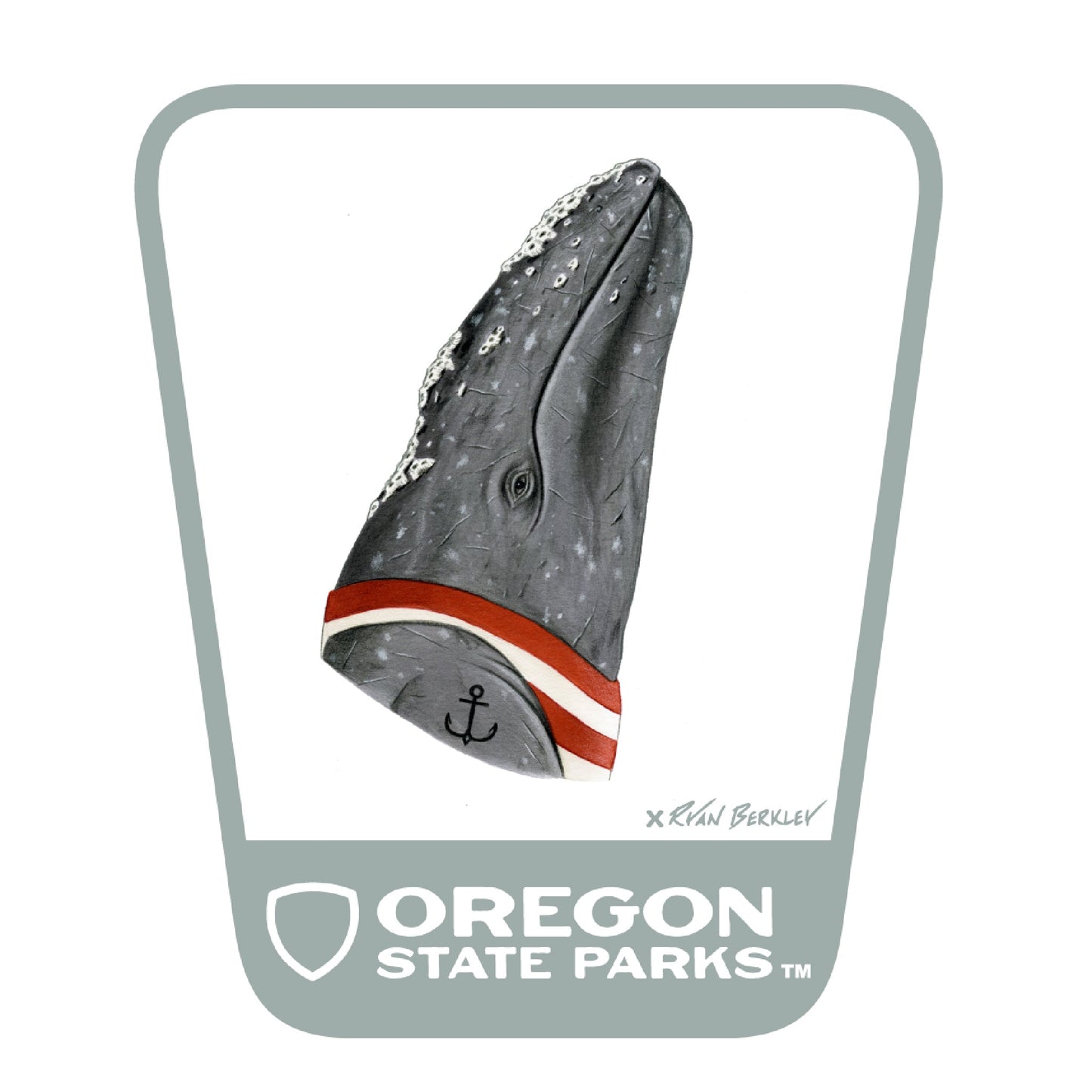 Gray Whale  3.25" Weatherproof Sticker