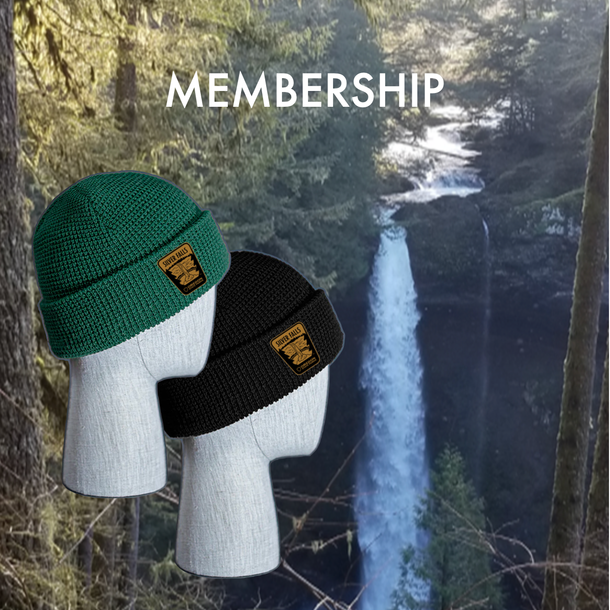 Individual Membership