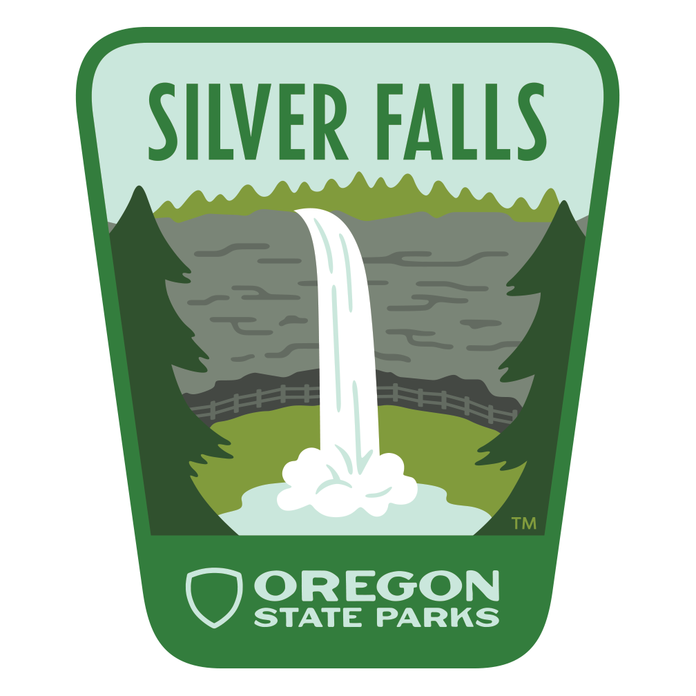 Silver Falls Enamel Pin